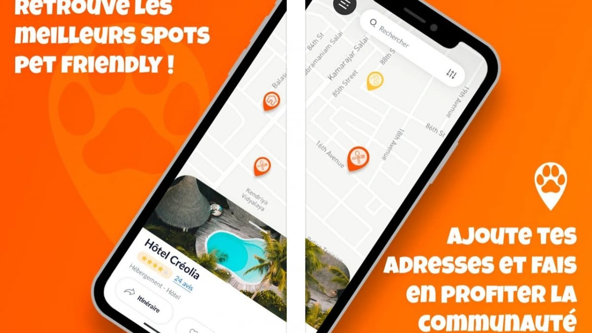 Illustration : "TWiP, une application pratique qui recense les lieux accessibles et autorisés aux chiens"