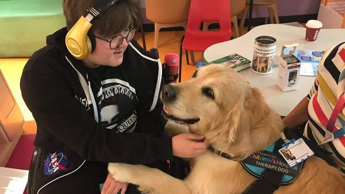 Illustration : "Une équipe de chiens de thérapie a pour mission d'apaiser les enfants hospitalisés"