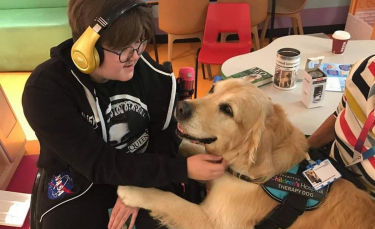 Illustration : "Une équipe de chiens de thérapie a pour mission d'apaiser les enfants hospitalisés"
