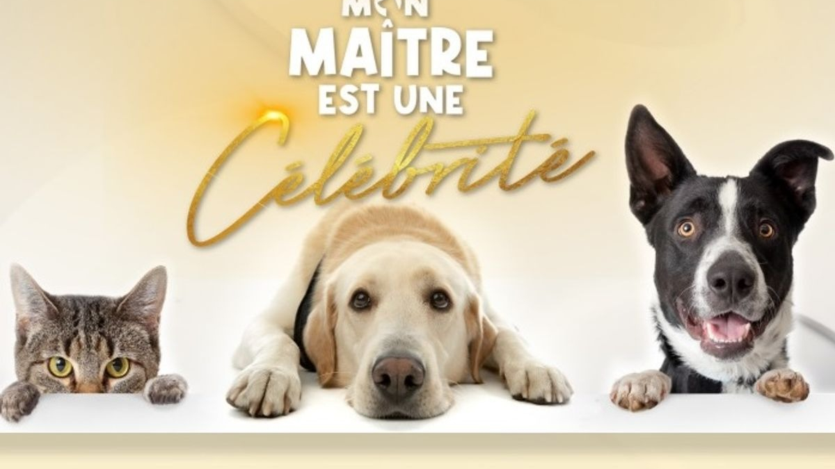 Illustration : "« Mon maître est une célébrité » : la nouvelle émission de C8 consacrée à l'intimité des stars et leurs animaux"