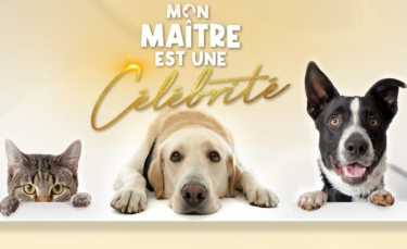 Illustration : "« Mon maître est une célébrité » : la nouvelle émission de C8 consacrée à l'intimité des stars et leurs animaux"