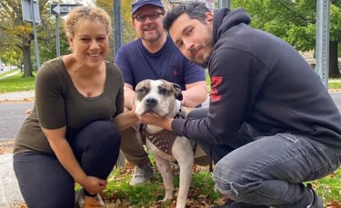 Illustration : "Après le meurtre de son propriétaire, ce Pitbull est prêt à aller de l'avant grâce à sa nouvelle famille aimante"