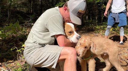 Illustration : Un chien survit à sa chute d'une falaise de 50 mètres, laissant sans voix l’équipe venue le secourir