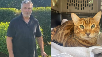Illustration : L'acteur Alec Baldwin, en pleine tourmente après son tir mortel lors d'un tournage, a retrouvé son chat disparu