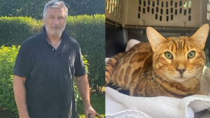 Illustration : L'acteur Alec Baldwin, en pleine tourmente après son tir mortel lors d'un tournage, a retrouvé son chat disparu