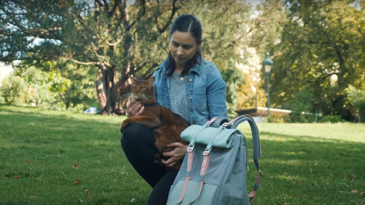 Illustration : "Cat-Trotter, le sac à dos innovant et stylé qui vous permet de transporter votre chat en toute sérénité"