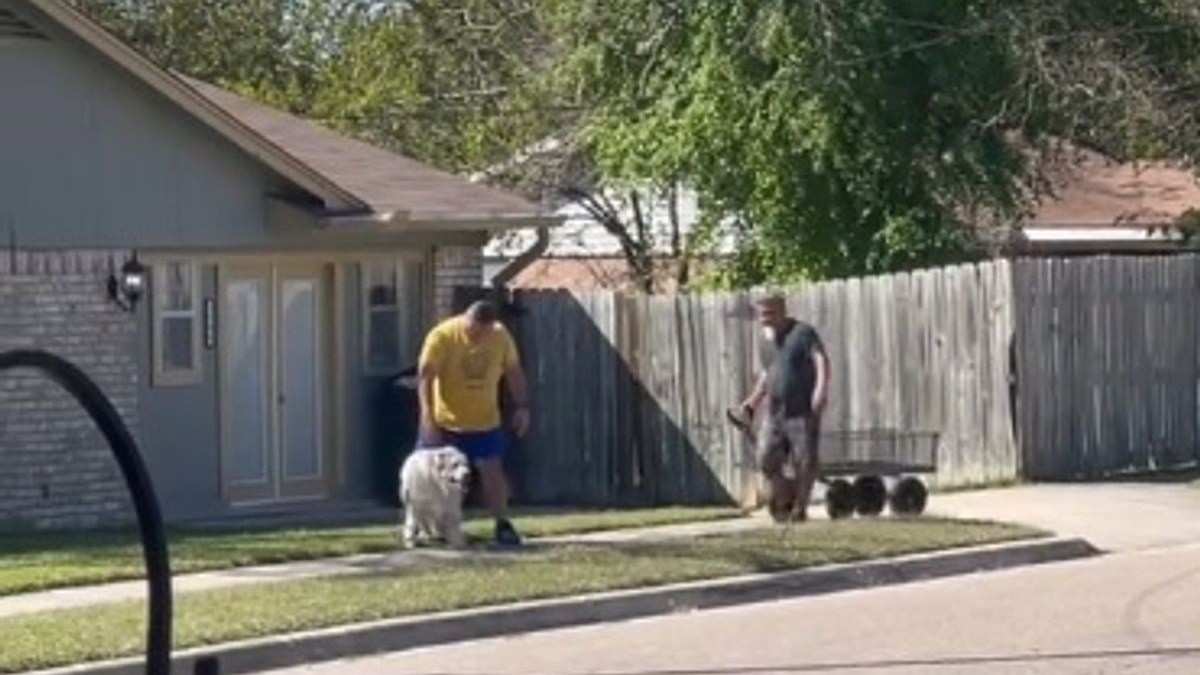 Illustration : "Un homme attentionné offre un chariot à son voisin pour aider son chien senior à terminer sa balade (vidéo)"