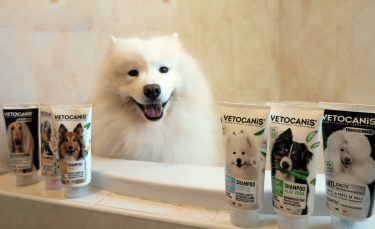 Illustration : "Vétocanis, l'entreprise qui révolutionne le marché de l'hygiène et soin pour animaux de compagnie"