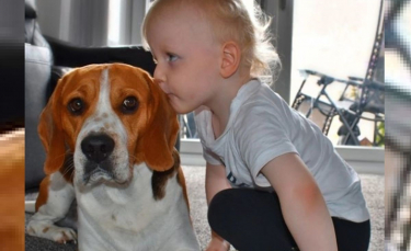Illustration : "L'histoire de Jax et Marley est l'exemple même du lien incroyable pouvant unir un enfant et un chien"