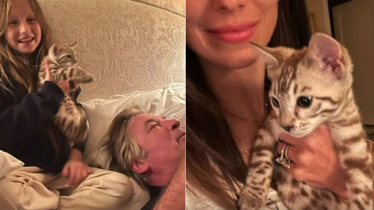 Illustration : "L'acteur Alec Baldwin adopte un nouveau chaton pendant que son chat se remet de son accident de voiture"