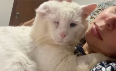 Illustration : "Après avoir surmonté des épreuves difficiles, ce chat profite d'une étreinte chaleureuse avec celle qui l'a secouru (vidéo)"