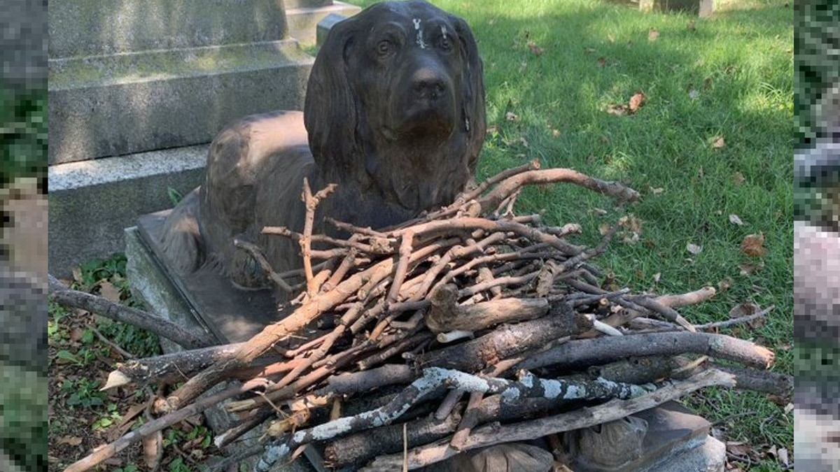 Illustration : "Les visiteurs d'un cimetière déposent régulièrement des bâtons sur la tombe d'un chien vieille d'un siècle"