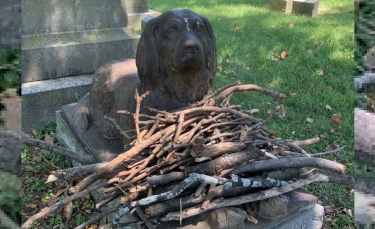 Illustration : "Les visiteurs d'un cimetière déposent régulièrement des bâtons sur la tombe d'un chien vieille d'un siècle"