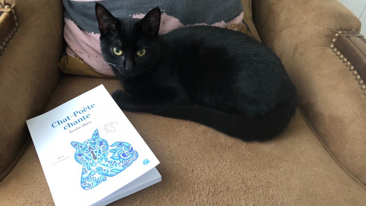 Illustration : "« Chat-Poète chante, tome 2 » d'Émilie Würz : un recueil de poésie qui s'adresse aux amoureux des chats"