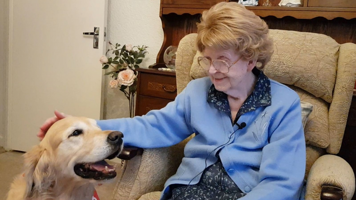 Illustration : "Un Golden Retriever rend visite à une personne âgée pour l'aider à lutter contre la solitude"