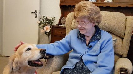 Illustration : Un Golden Retriever rend visite à une personne âgée pour l'aider à lutter contre la solitude