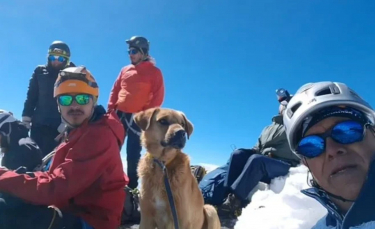 Illustration : "En suivant des alpinistes, ce chien perdu à plus de 5 000 mètres d'altitude chemine vers une vie meilleure"