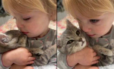 Illustration : "Un chaton trouvé en train de miauler dans un arbre devient le meilleur ami d'une petite fille (vidéo)"
