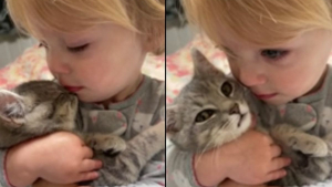 Illustration : Un chaton trouvé en train de miauler dans un arbre devient le meilleur ami d'une petite fille (vidéo)
