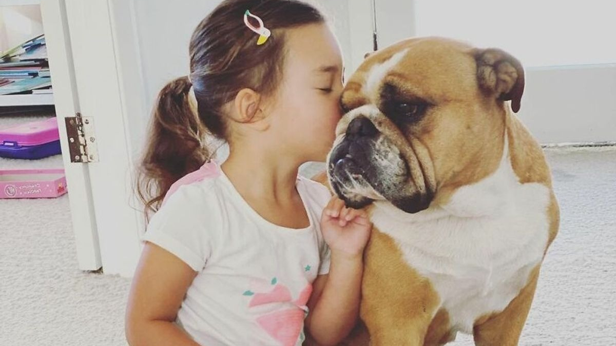 Illustration : "13 photos d'une fille qui a grandi avec son meilleur ami canin à ses côtés"