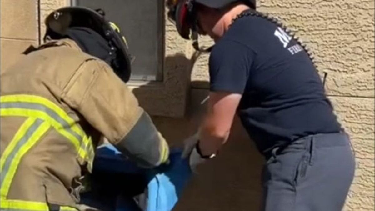 Illustration : "Un chat se perd et se retrouve bloqué à l'intérieur d'un mur : une équipe de pompiers se lance à sa rescousse (vidéo)"