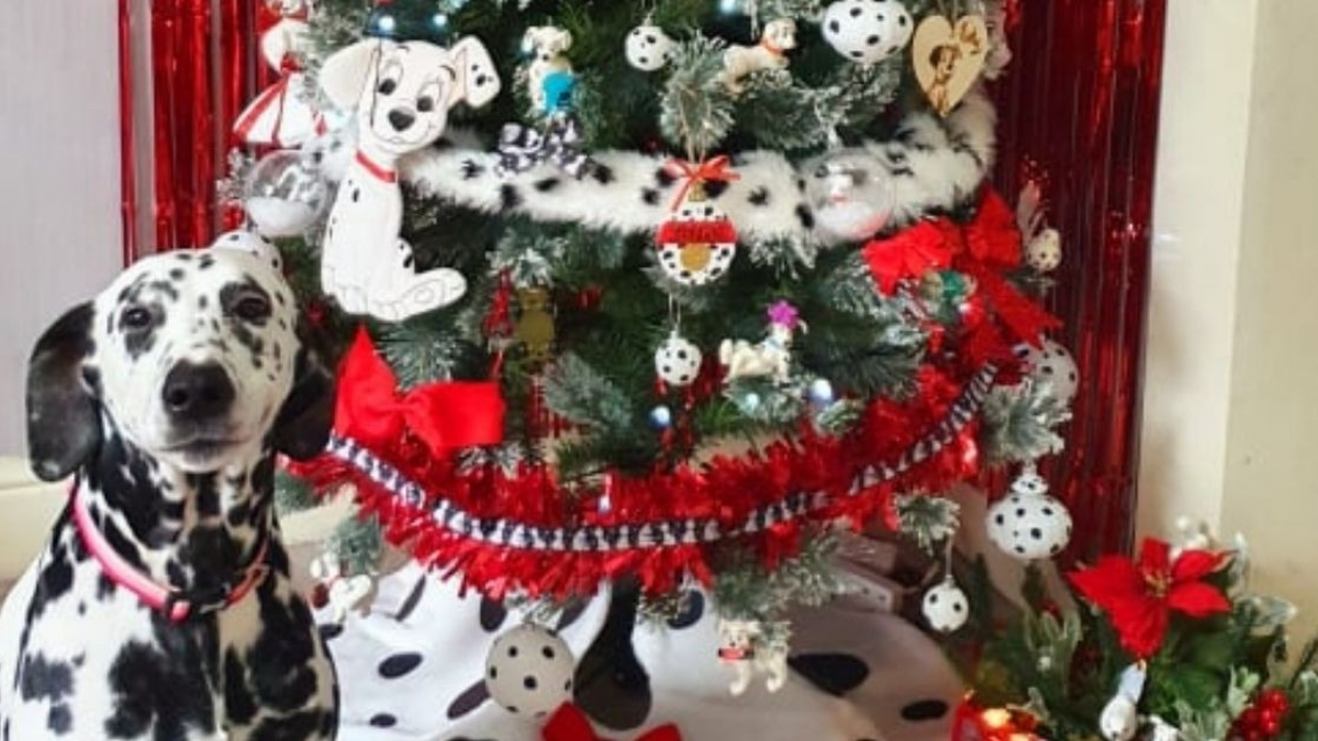 Illustration : "Elle décore son sapin de Noël sur le thème des 101 Dalmatiens par amour pour cette race de chien"