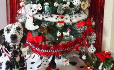 Illustration : "Elle décore son sapin de Noël sur le thème des 101 Dalmatiens par amour pour cette race de chien"