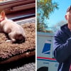 Illustration : Un jeune Chihuahua attend tous les jours avec impatience la visite de son facteur pr&eacute;f&eacute;r&eacute; (vid&eacute;o)