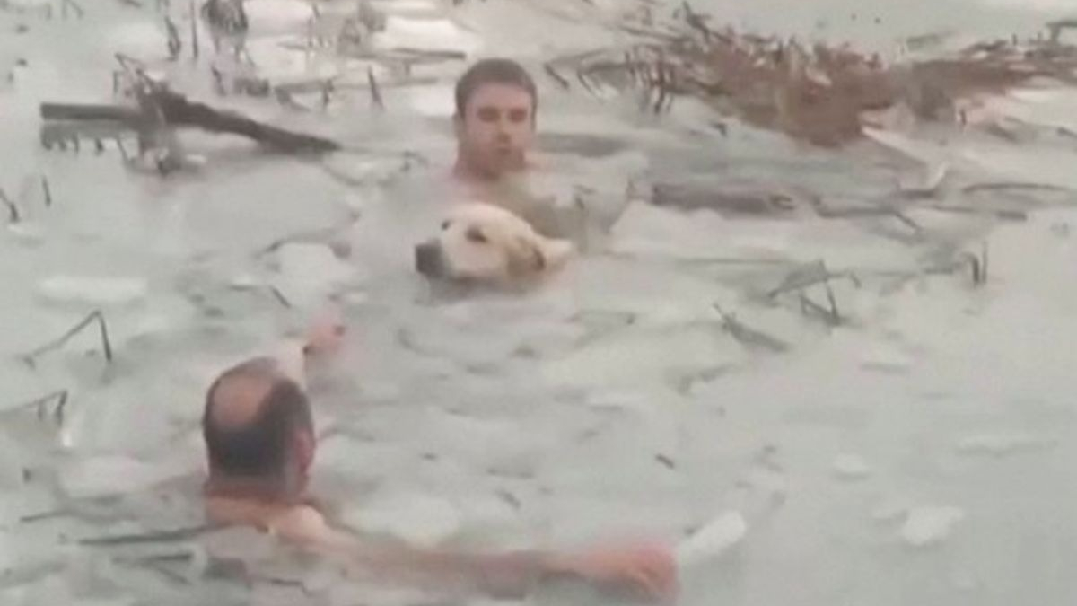 Illustration : "2 policiers héroïques plongent dans l'eau glacée d'un lac pour secourir un chien (vidéo)"