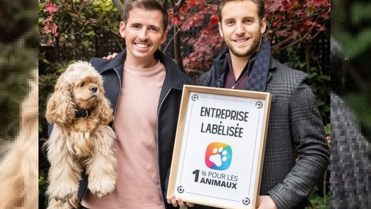 Illustration : "L’agence YLG, première entreprise labellisée « 1% Pour les Animaux » pour son soutien aux projets de protection animale"