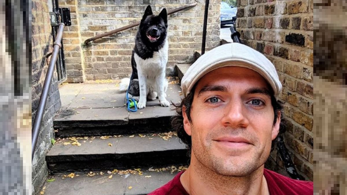 Illustration : "L'acteur britannique Henry Cavill partage sa relation unique avec son Akita Américain"