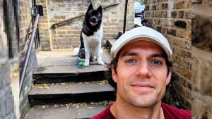 Illustration : L'acteur britannique Henry Cavill partage sa relation unique avec son Akita Américain