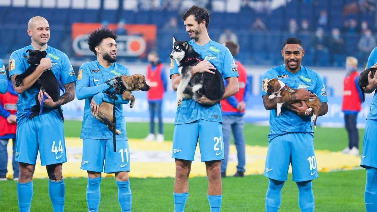 Illustration : "Les joueurs d'une équipe de football apparaissent sur le terrain avec des chiens de refuge pour encourager leur adoption"