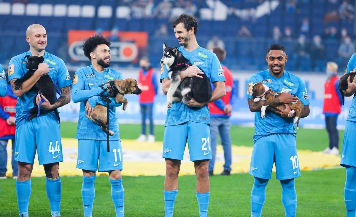 Illustration : "Les joueurs d'une équipe de football apparaissent sur le terrain avec des chiens de refuge pour encourager leur adoption"