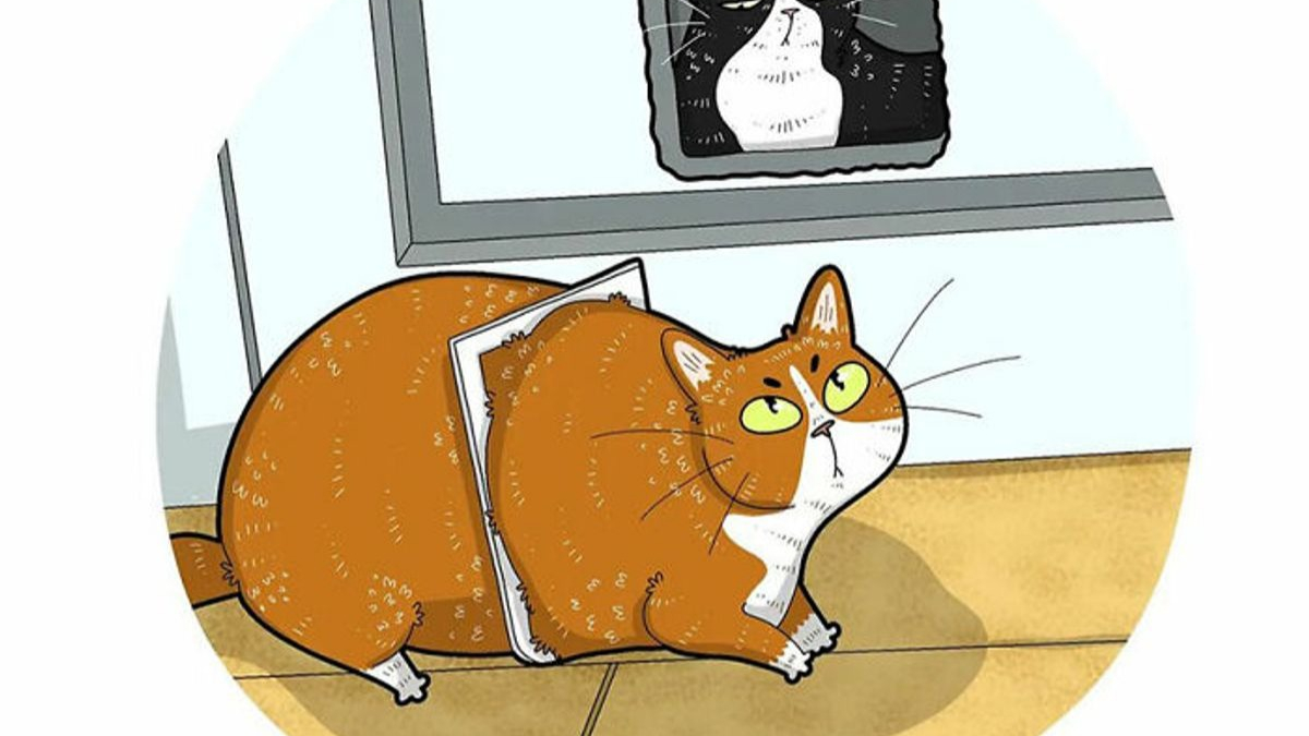 Illustration : "20 photos de chats transformées en illustrations comiques"