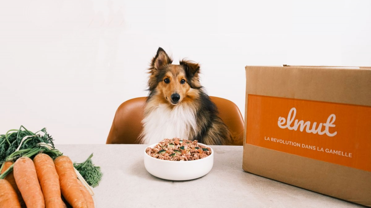 Illustration : "Elmut, leader de l'alimentation fraîche pour chiens, ambitionne d'étendre la gamme de ses produits"