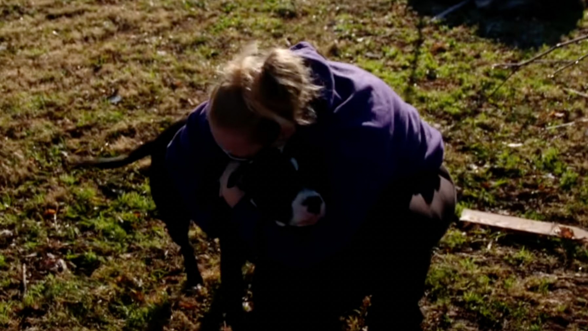 Illustration : "Le moment réconfortant où une femme retrouve sa chienne dans les décombres après le passage d'une tornade (vidéo)"