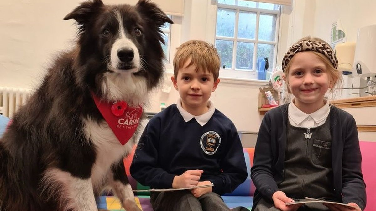 Illustration : "Ces enfants reçoivent la visite d'un chien de thérapie qui les soutient dans leur apprentissage de la lecture"