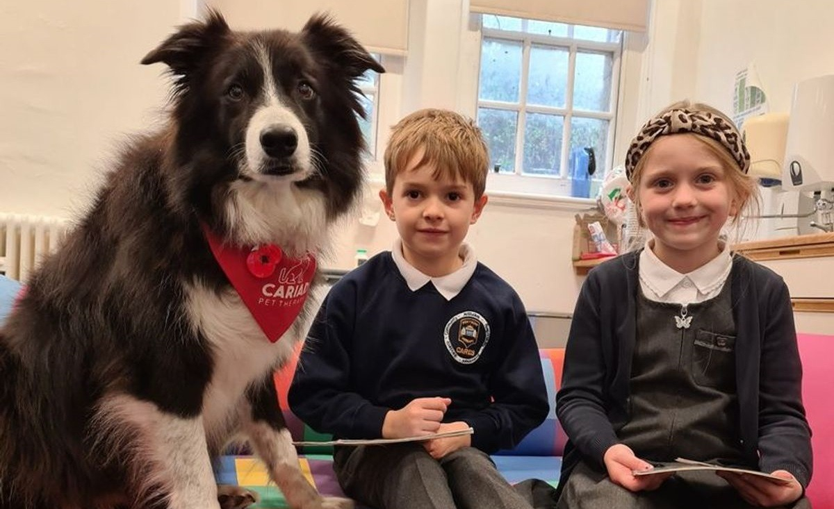 Illustration : "Ces enfants reçoivent la visite d'un chien de thérapie qui les soutient dans leur apprentissage de la lecture"