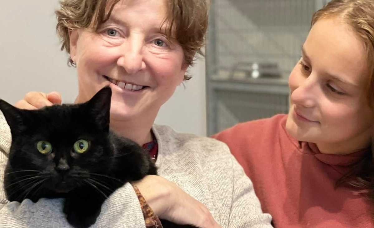 Illustration : "Etonnantes retrouvailles : une famille retrouve son chat perdu depuis près de 10 ans alors qu'il vivait à 1 km !"