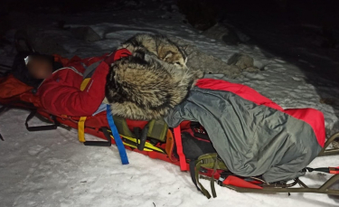 Illustration : "Un chien se couche pendant 13 heures sur un randonneur pour le sauver du froid après sa chute dans un ravin"