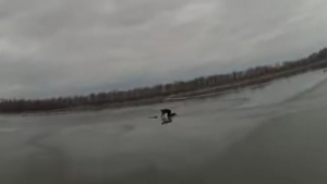 Illustration : Pris au piège dans un lac gelé, un chien doit son salut à un courageux policier