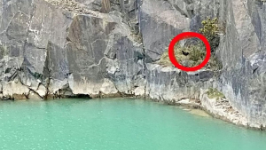Illustration : Un policier à la retraite devient le héros d'un Teckel bloqué sur une falaise depuis 26 heures (vidéo)