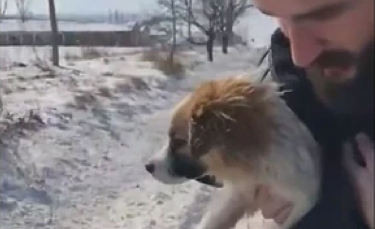 Illustration : "Un homme au grand cœur change le destin d'un chiot errant sur une route enneigée (vidéo)"