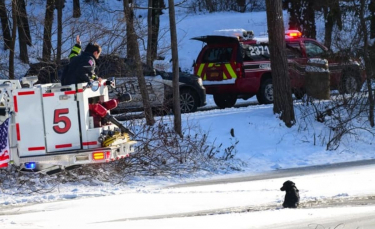 Illustration : "Des pompiers salués comme des héros après avoir secouru un chien coincé dans un étang gelé "