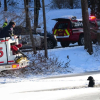 Illustration : Des pompiers salués comme des héros après avoir secouru un chien coincé dans un étang gelé 