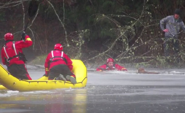 Illustration : "Hypothermie et noyade menaçaient ce chien tombé dans un lac gelé, jusqu’à l’intervention héroïque des pompiers"