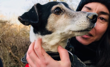 Illustration : "Profondément enfoui dans un terrier, un Jack Russell revoit la lumière de jour grâce à l'intervention des pompiers"