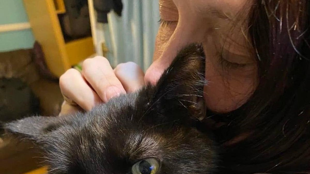 Illustration : "Un chat disparaît pendant 8 mois. La propriétaire appelle son vétérinaire et entend un miaulement suspect"