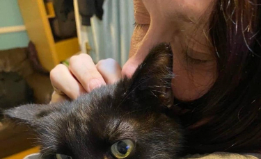 Illustration : "Un chat disparaît pendant 8 mois. La propriétaire appelle son vétérinaire et entend un miaulement suspect"